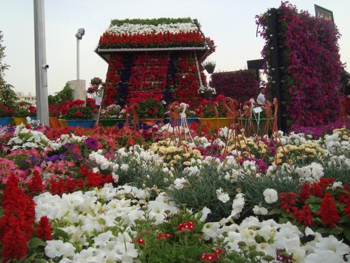 گلخانه گلزار 