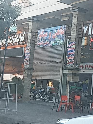 عکس ماهی و میگو دختر ناخدا