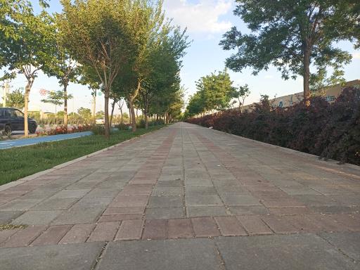 عکس پارک خطی شهرک شهید باهنر 