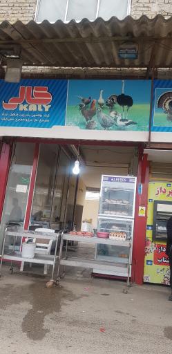 عکس مرغ فروشی کالی