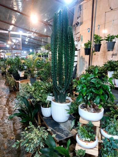 عکس گلخانه و تولیدی شلف نوین سازه