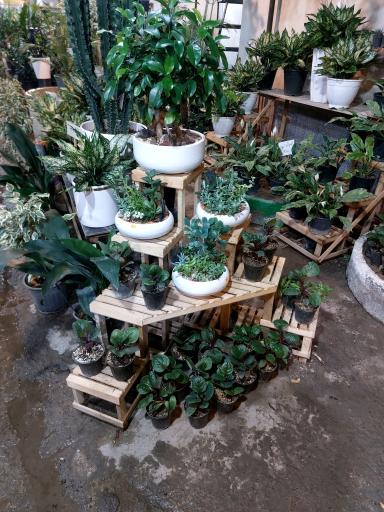 گلخانه و تولیدی شلف نوین سازه