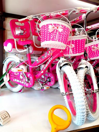 عکس فروشگاه دوچرخ ایران