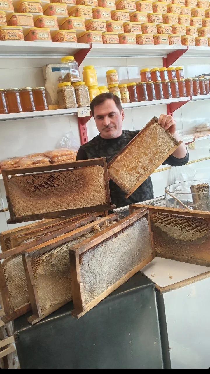 عکس  عسل ساوالان  تورج خلیلی 