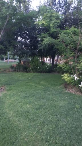 عکس پارک شهید مغنیه