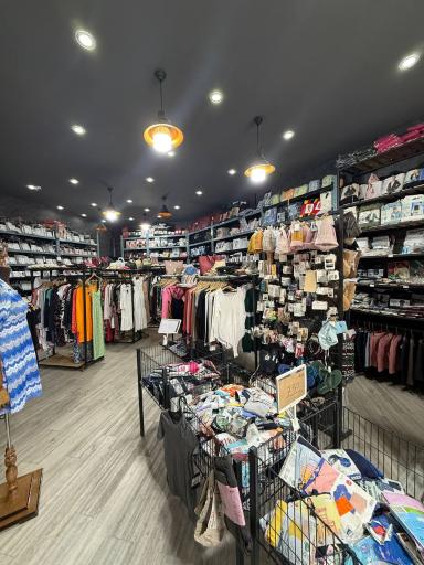 عکس گالری توت فرنگی