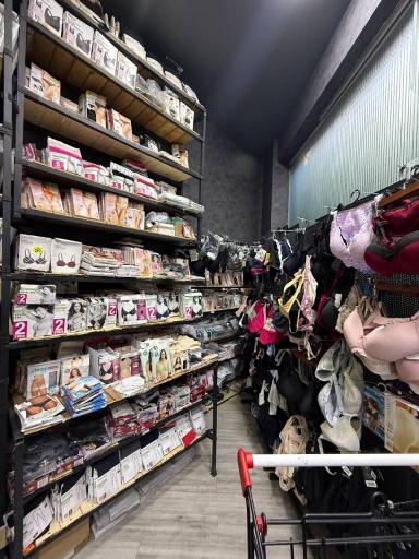 عکس گالری توت فرنگی