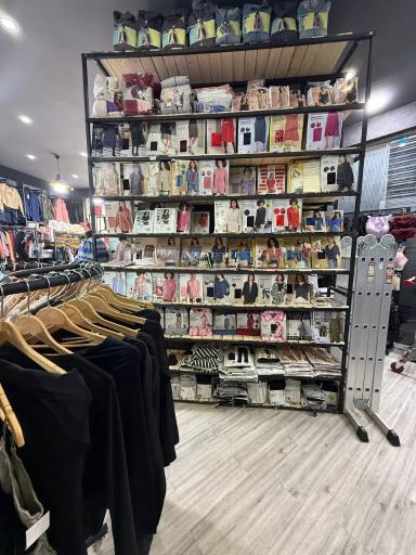 عکس گالری توت فرنگی