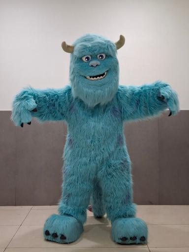 عکس اجاره انواع تنپوش عروسکی