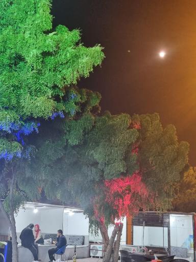 عکس کافه و فست فود ساحلی مستر کیش