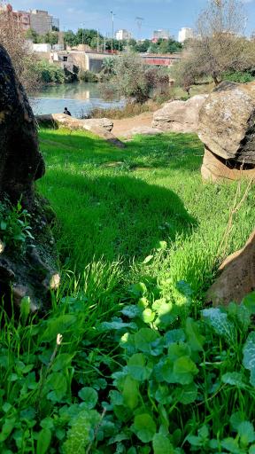 عکس بند برج عیار