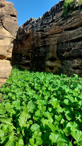 عکس بند برج عیار