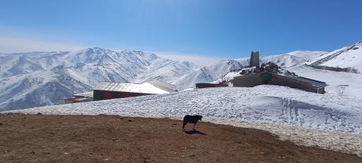 عکس پناهگاه اول دشت میشان