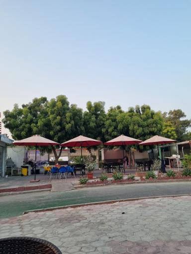 عکس کافه و فست فود ساحلی مستر کیش