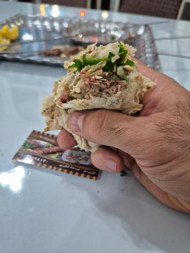 عکس کباب وحید