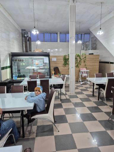 عکس کباب وحید