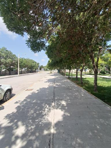 عکس پارک نشاط