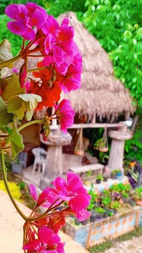 عکس کلبه اقامتی باغچه مریم 
