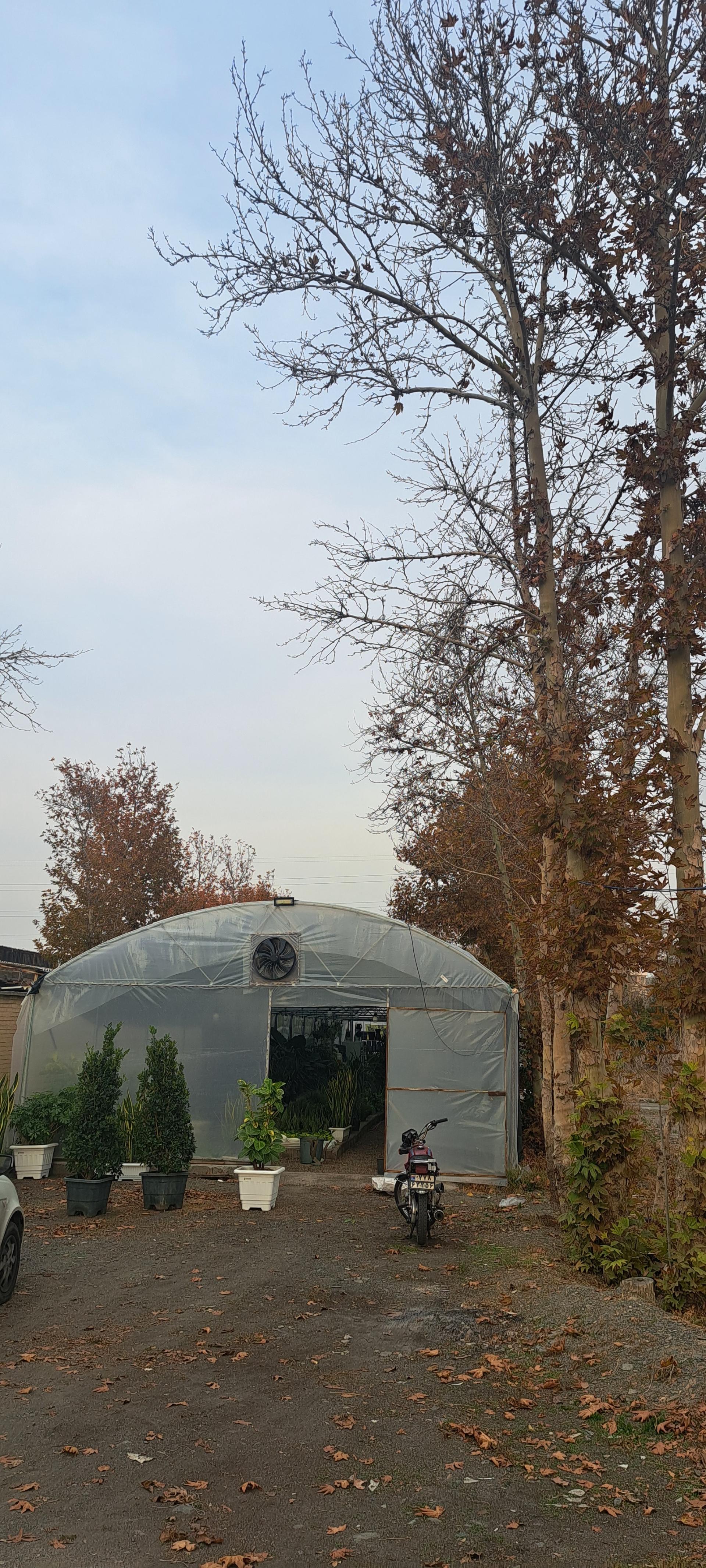 عکس گلخانه آقای گیاه