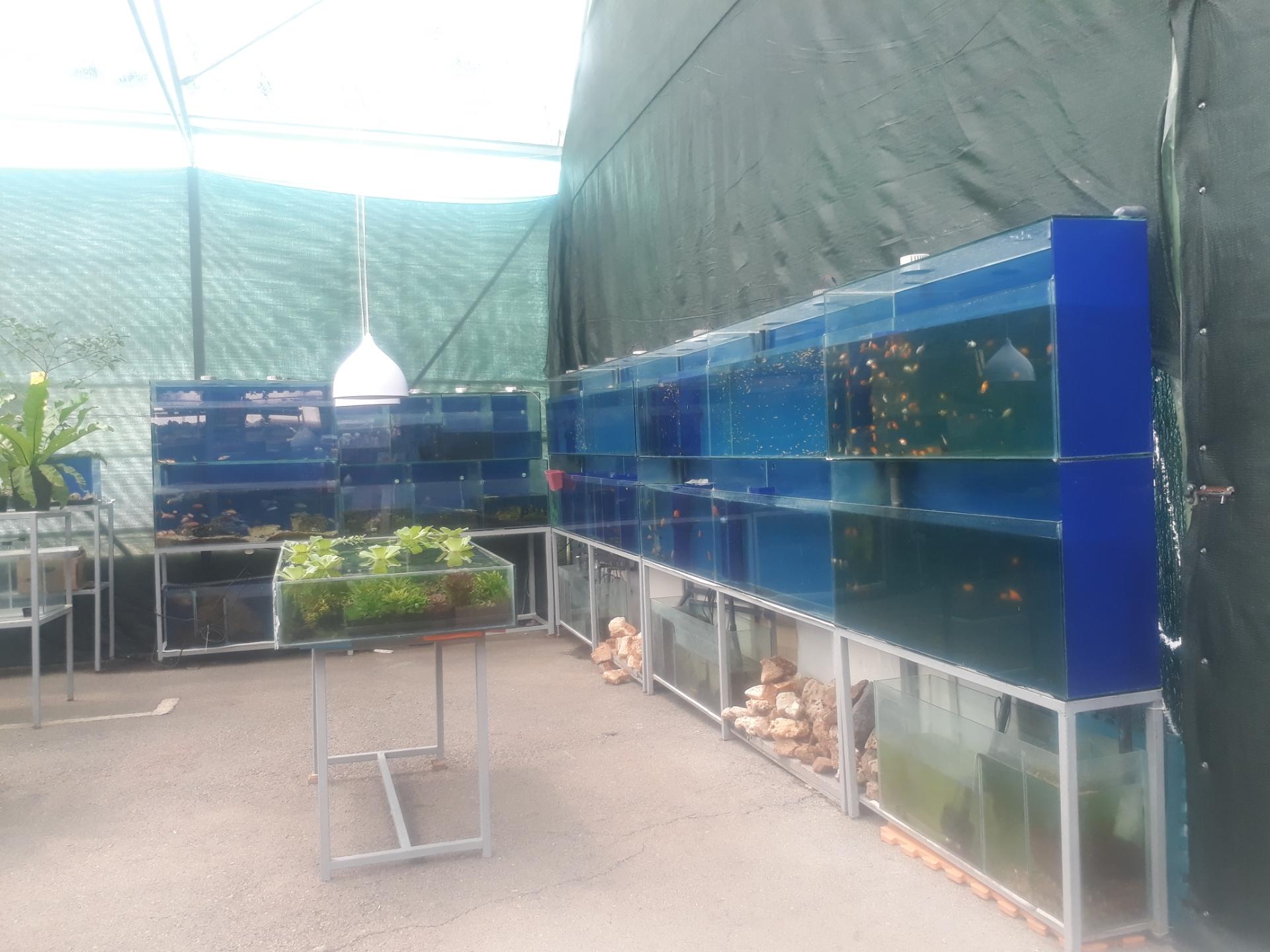 عکس آکواریوم غرب