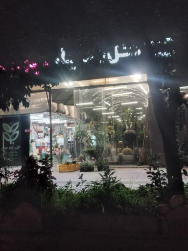 عکس گل و گیاه جوانه