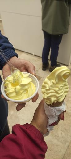 عکس بستنی زائرالرضا شعبه 3