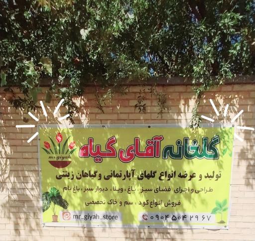 عکس گلخانه آقای گیاه