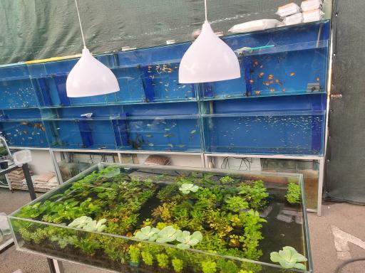 عکس آکواریوم غرب