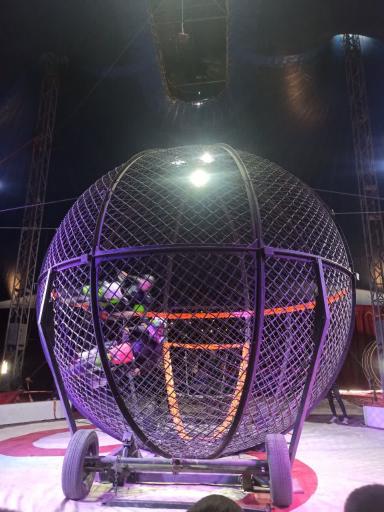 عکس سیرک بزرگ شیراز