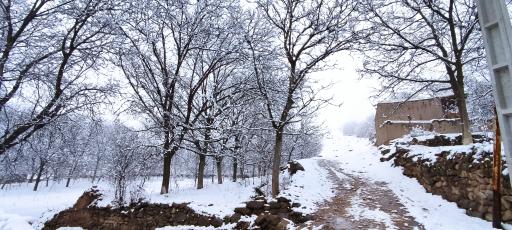 عکس سیه سران