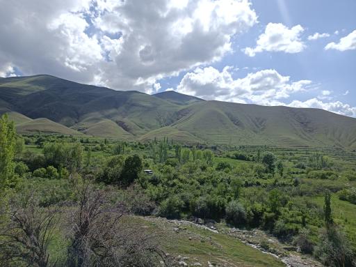 عکس سیه سران