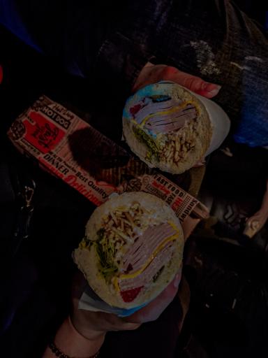 عکس ساندویچ سرد کاکتوس