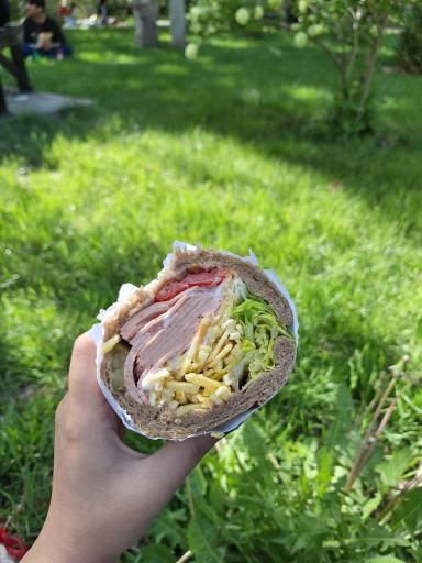 عکس ساندویچ سرد کاکتوس