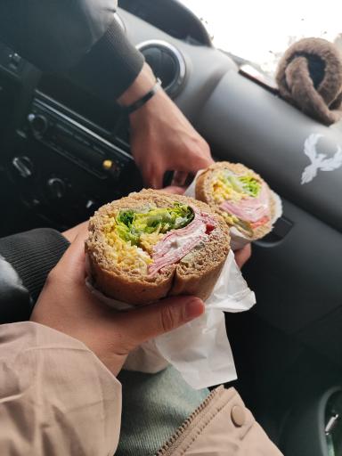 عکس ساندویچ سرد کاکتوس