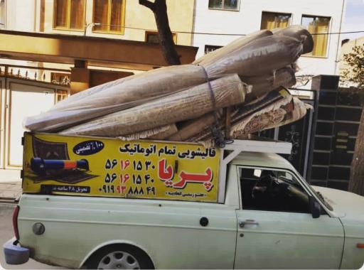 عکس قالیشویی پریا
