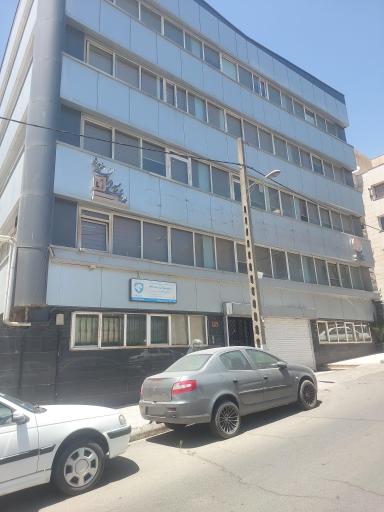 بیمه پارسیان بیمه ایران خودرو