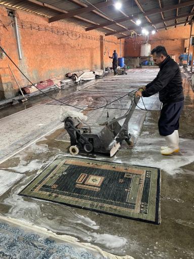 عکس قالیشویی پریا
