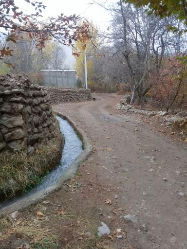 سیه سران