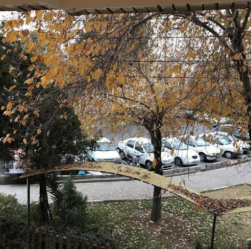 عکس پیتزا پرستو