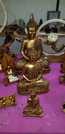 عکس فروشگاه هنری ژاو