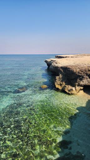 عکس دماغه و ساحل خلیج نایبند