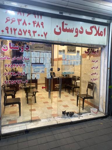 عکس املاک دوستان 