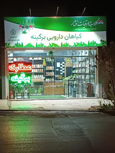 عکس گیاهان دارویی برگینه