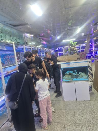 عکس آکواریوم پیکاسو