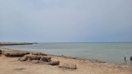 عکس دماغه و ساحل خلیج نایبند