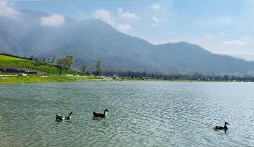 عکس دریاچه شفیع آباد