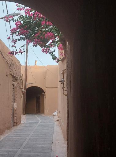 عکس کافه گالری سایه