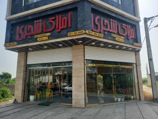 عکس املاک شجری