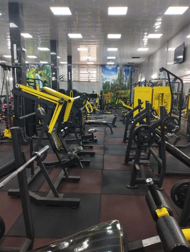 عکس پرورش اندام پرهیزکاری