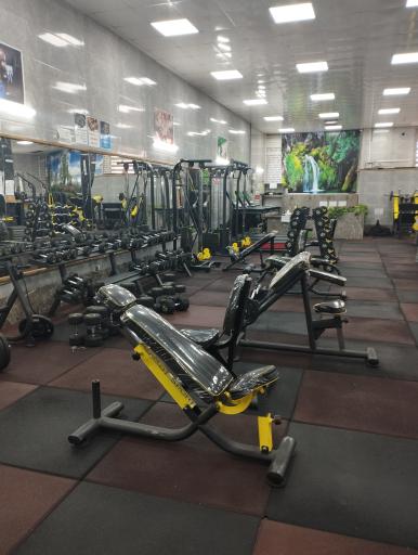 عکس پرورش اندام پرهیزکاری